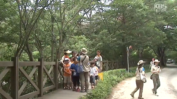 야외수련활동에 나선 경북지역 학생들.(사진=KBS대구경북 캡처)
