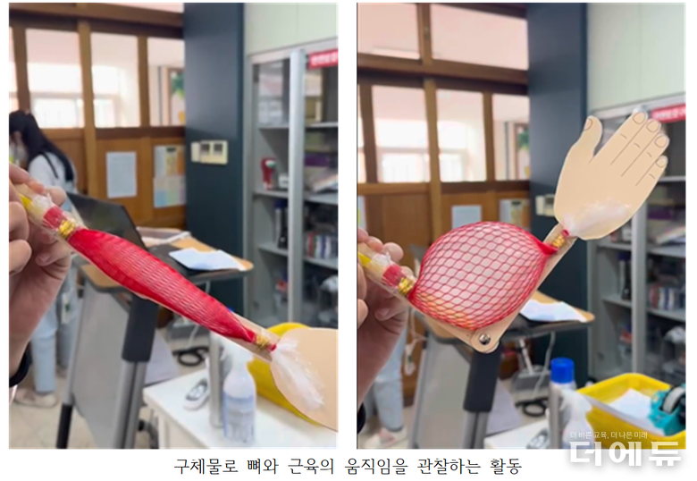 해부학 3D 아틀라스 앱 화면 모습. (사진=허유리 교사)
