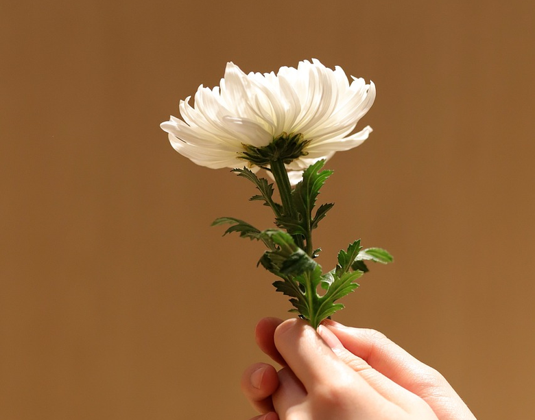 사진=픽사베이.