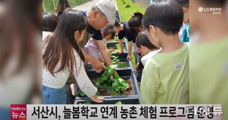 사진=서산시청 유튜브 충남방송뉴스 화면 캡처.