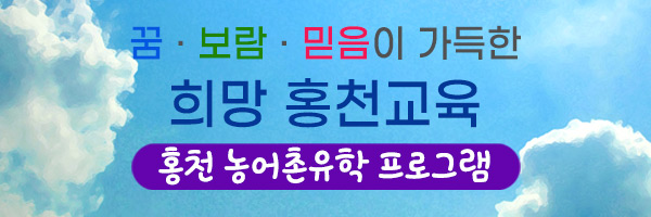 배너