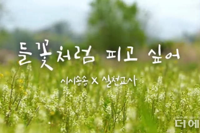 [스승의날] "큰 위로가 됩니다"...교사 13명이 만든 노래 '들꽃처럼 피고 싶어' 호평 일색(영상 포함)